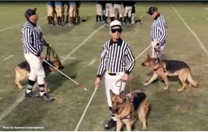 Referee Issues Is Something All Fans Can Come Together On